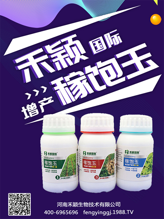 秋葵種植和收獲時(shí)間,秋葵種植的生長(zhǎng)環(huán)境!