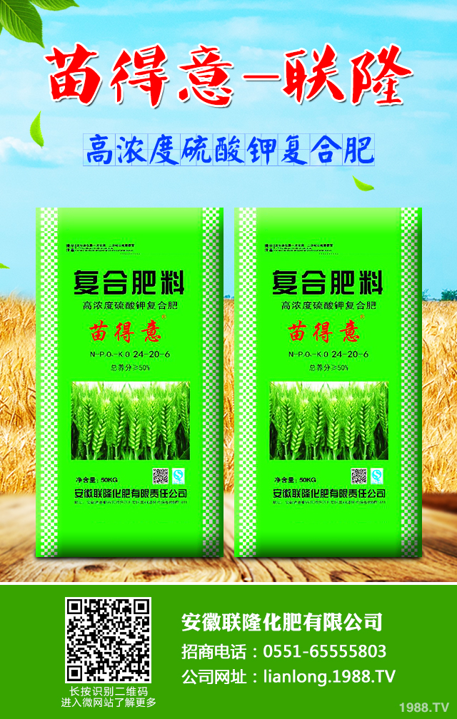 С����ô����Ч������С�����������g����