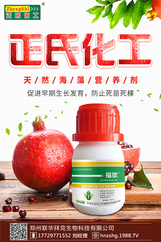 ���y����ʲô���������y���Ĺ�Ч�cʳ�ý�����