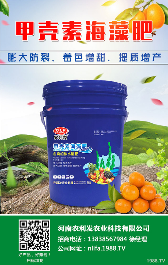 ���[�ɼ���զ���������ӽ�Q�����[�ɼ��ԭ�򼰷���