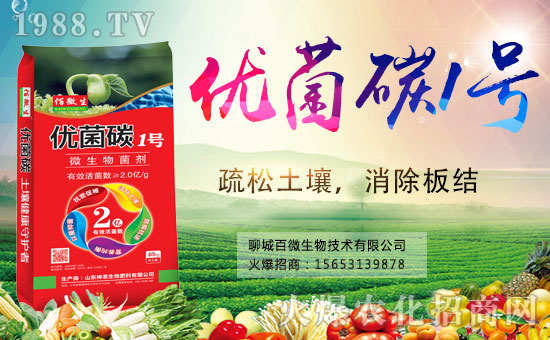 �������x������(j��)���ĳǰ�΢���m(x��)ǰ�����y���r(n��ng)���W(w��ng)����(chu��ng)���x�ͣ�