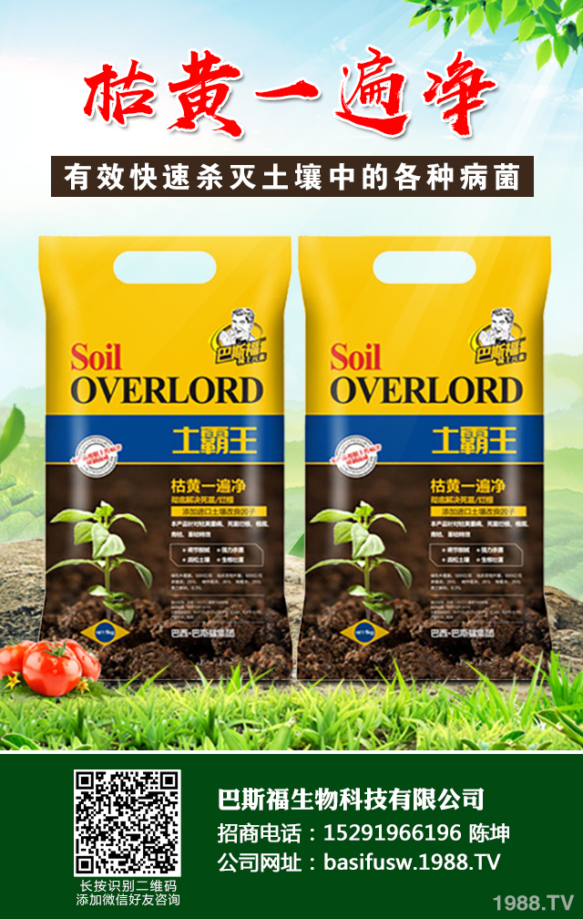 �������ݲ�����ɷ������������ݲ����μ���