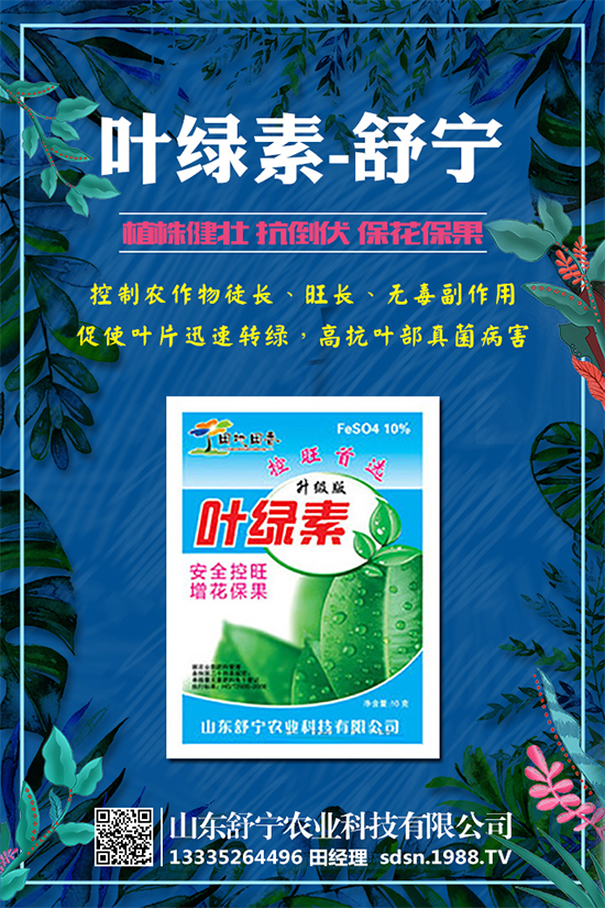 柿子怎么種植?種植柿子的注意事項有哪些?