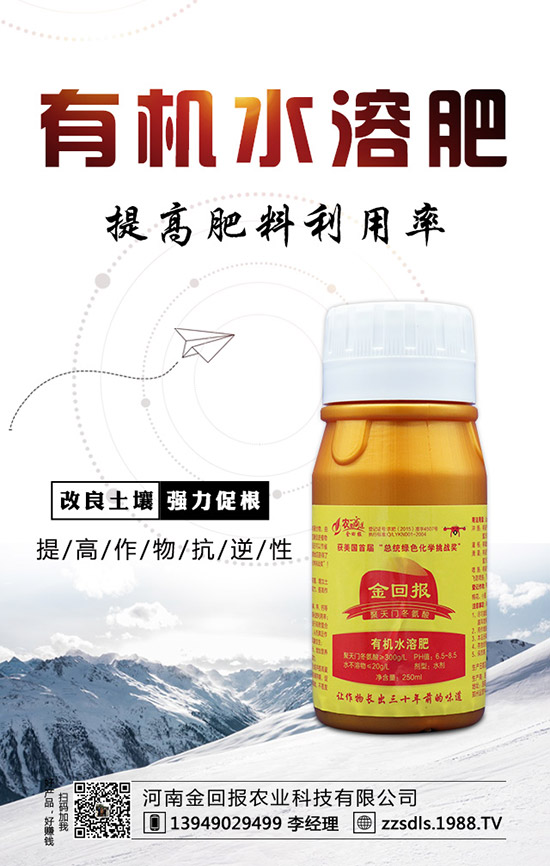 芒果什么時候種植?芒果的高產(chǎn)種植方法!