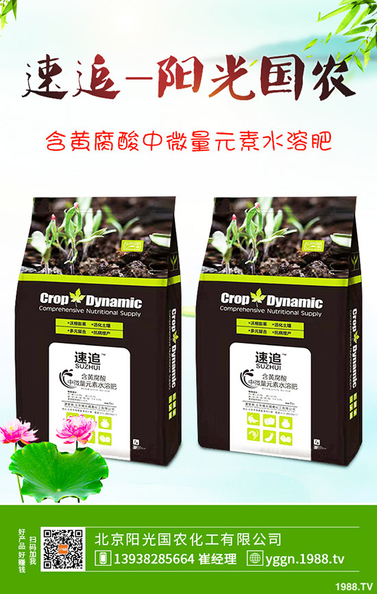     ���c������������@�r(ji��)���Ƿ�Ӱ������¶��@�������2019-9-241-(238)