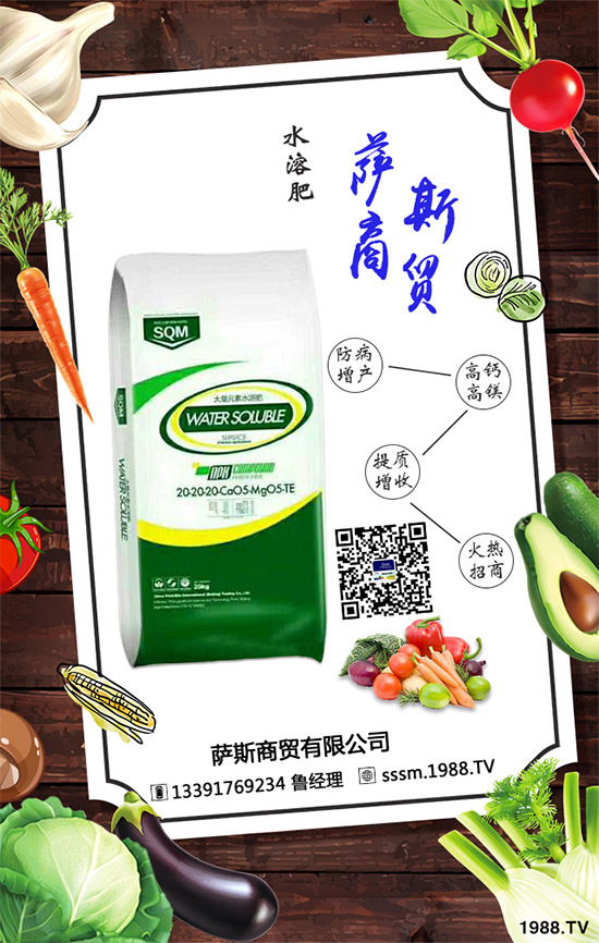 �_˹���Q(m��o)�ٶȔy��1988.TV�������W(w��ng)�j(lu��)�������x����