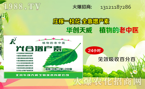 ��(zh��n)�Ժ������������A��(chu��ng)��������y��1988.TV�ل�(chu��ng)�x�ͣ�