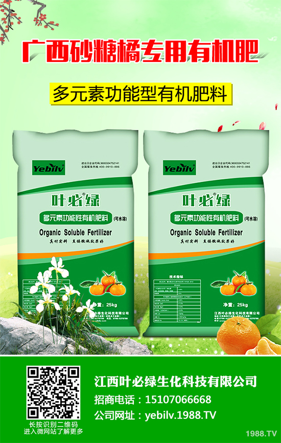     �㶹���ճ������г�Ҋ(ji��n)���߲ˣ��I(y��ng)�B(y��ng)�r(ji��)ֵ�S���������˂�ϲ��(��i)�����㶹�Nֲ�^(gu��)�����y���(hu��)���F(xi��n)һЩ���������u�������㶹�P���Ƿǳ���Ҋ(ji��n)��һ�N����������r(sh��)���ξ͕�(hu��)��(d��o)�º��m����(y��n)�؜p�a(ch��n)����ô���㶹�P������ЩΣ���Y���أ�ԓ��η�����