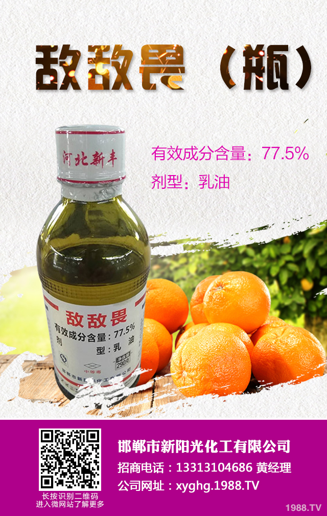 ���ټt֩����ô���������ټt֩����Ч���μ���