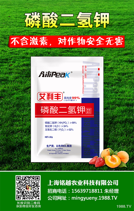 �㶹����������ЩΣ�����F(xi��n)��ԓ���ӷ������㶹���������η���