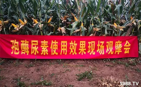 �ٿ���С�����a(ch��n)1471�����pø����ȫ������(j��)�����߮a(ch��n)������(d��ng)֮�o(w��)����