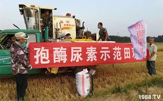 �ٿ���С�����a(ch��n)1471�����pø����ȫ������(j��)�����߮a(ch��n)������(d��ng)֮�o(w��)����