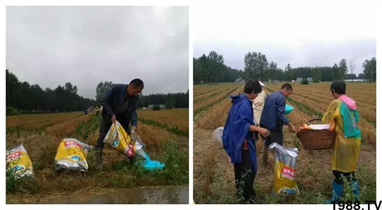 �ٿ���С�����a(ch��n)1471�����pø����ȫ������(j��)�����߮a(ch��n)������(d��ng)֮�o(w��)����