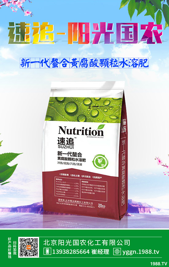     今日最新復(fù)合肥市場(chǎng)價(jià)格行情走勢(shì)預(yù)測(cè)早訊：