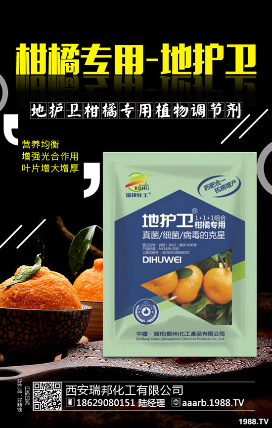 香菜種子如何催芽，香菜提高出苗率的好方法！