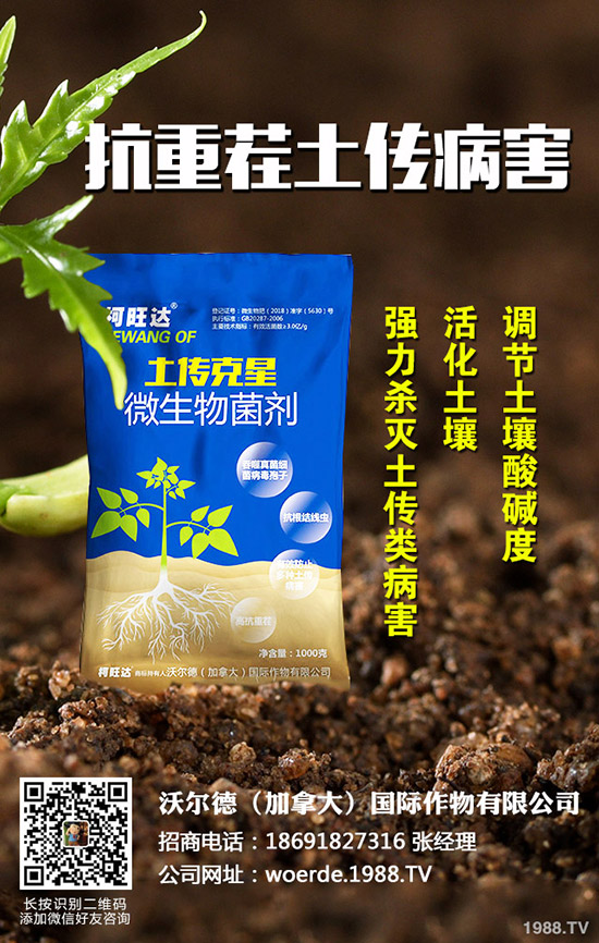 茄子什么時(shí)候育苗，茄子育苗的方法有哪些？
