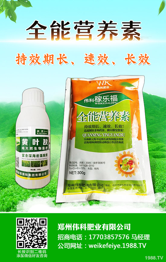 ���Ә���ô�޽������Ә�޽ӕr�g�ͷ�����