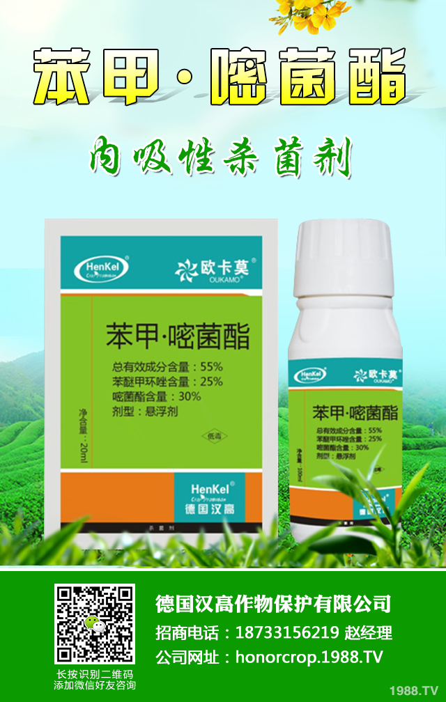 ��̿�Ҳ���ô����Ч��������̿�Ҳ����򼰷���