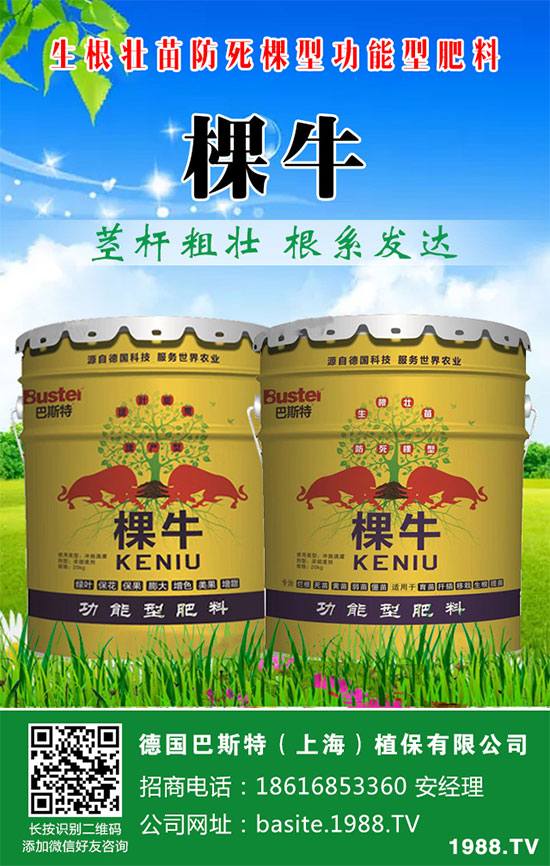 ���[���ʩ�ʣ����[�ƌW(xu��)������ʩ�ʷ�����