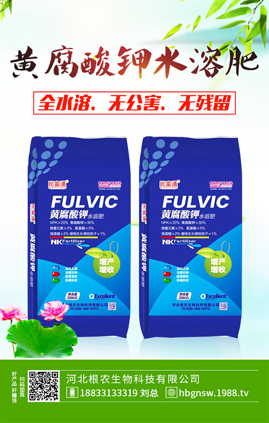 ����ԓ��ô��������ĠI�B(y��ng)�Է���ע�����