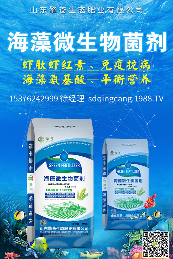     �ﶬ�}����ô�Nֲ���ﶬ�}�����N�r(sh��)�g�����g����������