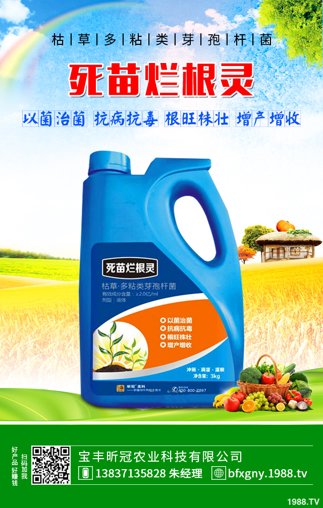 芹菜黑心腐爛怎么防治?芹菜黑心腐爛要對(duì)癥防治