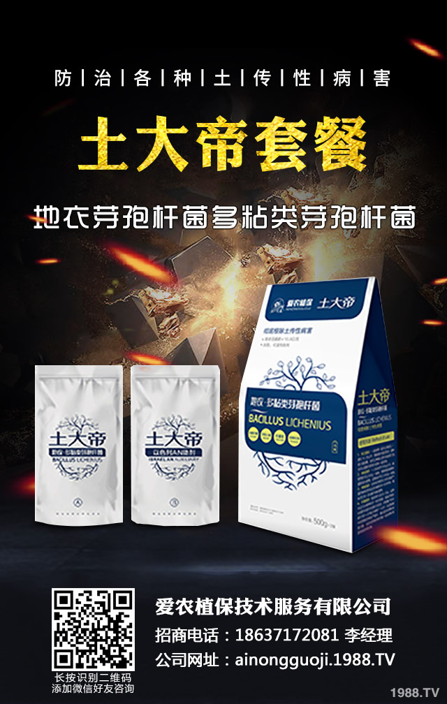 �ﲥС����ô����|(zh��)�����ﲥС������|(zh��)����Ҫ�c