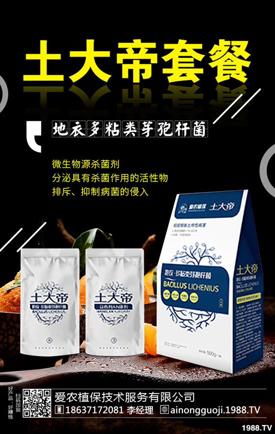 ���·ݿ��ԷNʲô�߲���2019��9���߲˷Nֲָ��!