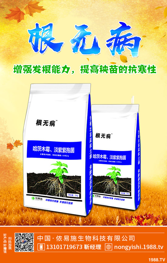     國慶節(jié)前一銨出貨壓力大！最新一銨行情走勢預(yù)測2019-9-30