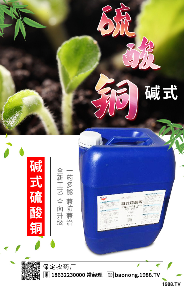 西葫蘆短粗病怎么辦？西葫蘆短粗病的成因和預(yù)防措施