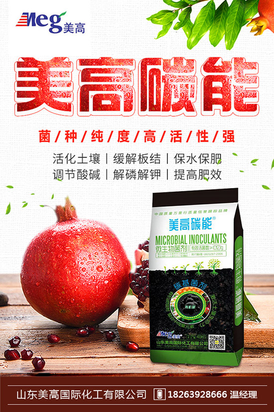 秋季家庭陽臺種植什么蔬菜好?秋冬陽臺種菜的方法!