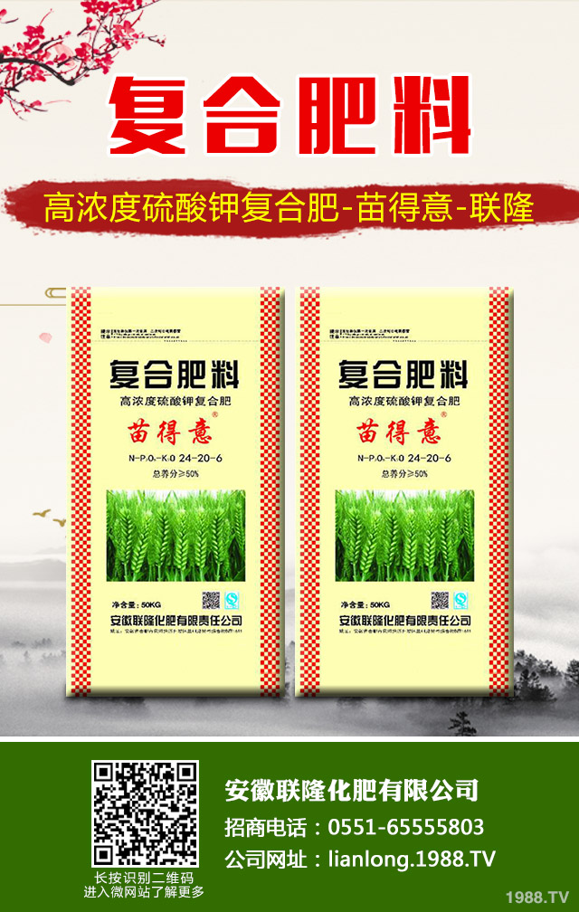 �K�F�~�S�݆��}��ô��Q���K�F�~�S�ݽ�Q����