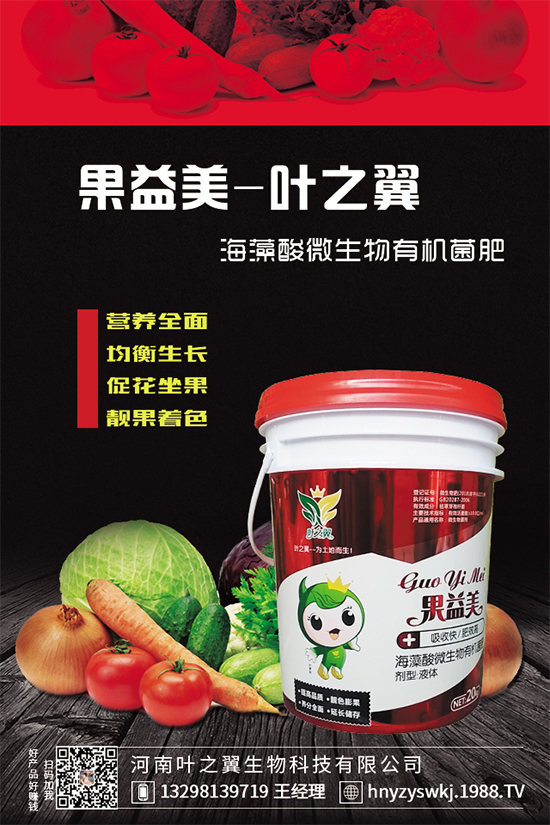 芒果樹環(huán)割的好處,給芒果樹環(huán)割需要注意什么?