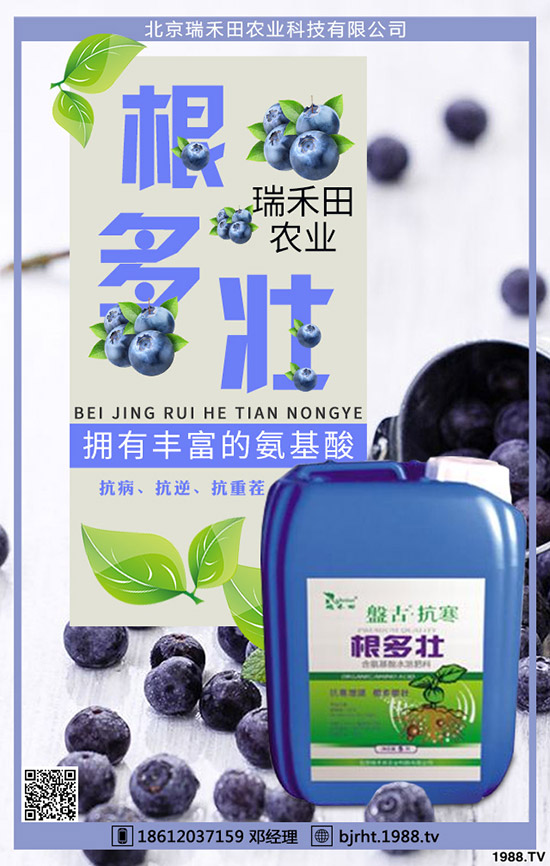 ���t��ʲô�r�g�Nֲ�����t���Nֲ����