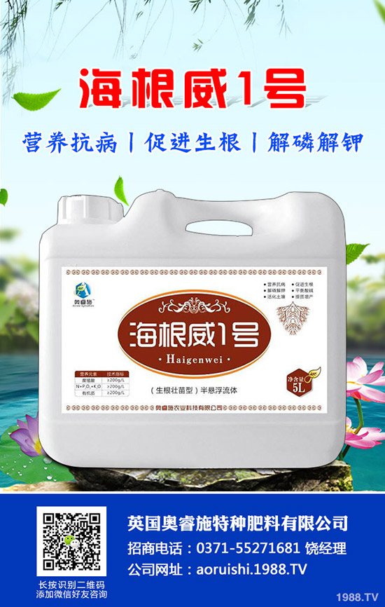 �����^����Щ��̎�����^�ĠI(y��ng)�B(y��ng)�r(ji��)ֵ��ʳ�ý�����