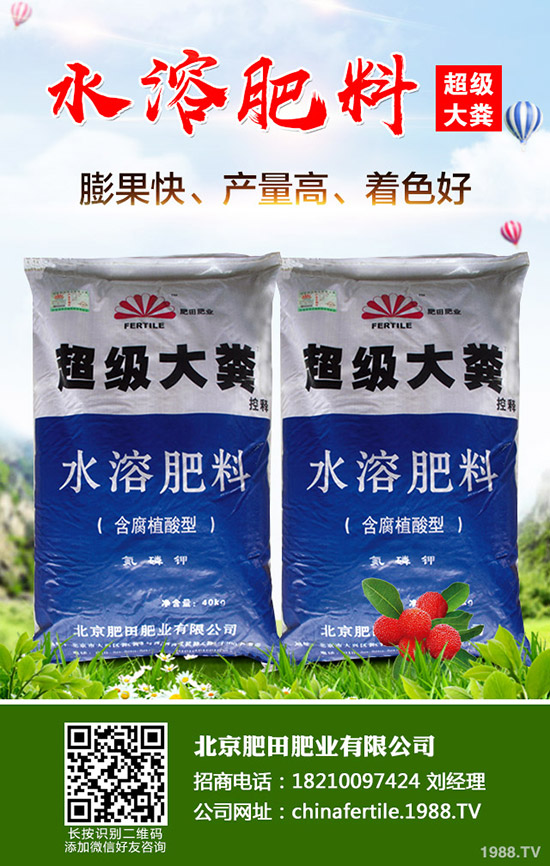 ��ݮ���˼t������������ô�k����ݮ�t�����������R(sh��)�e�����ͷ��Σ�