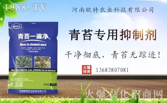 �������̦���������������Ƀ�����̦�oۙ��