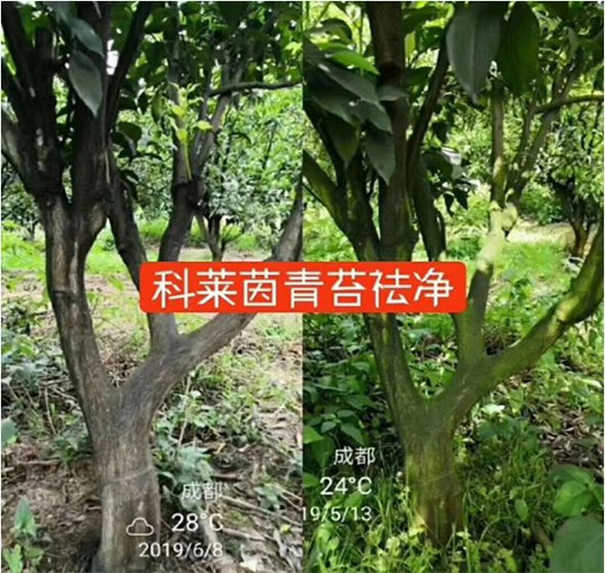 �������̦���������������Ƀ�����̦�oۙ��