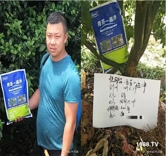 �������̦���������������Ƀ�����̦�oۙ��