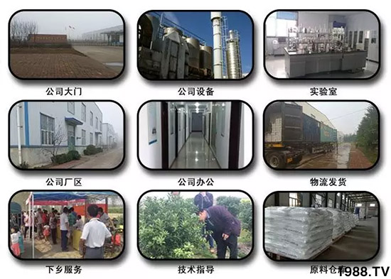 �������̦���������������Ƀ�����̦�oۙ��