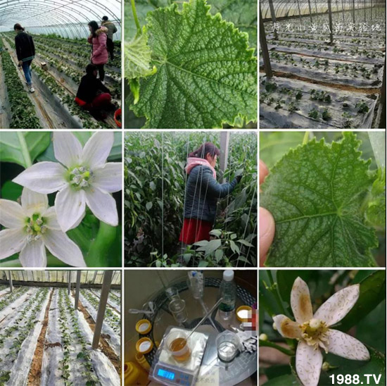     ���θ߿��԰׷�ʭ����?d��)��x(ch��ng)����һ���Ɣ�