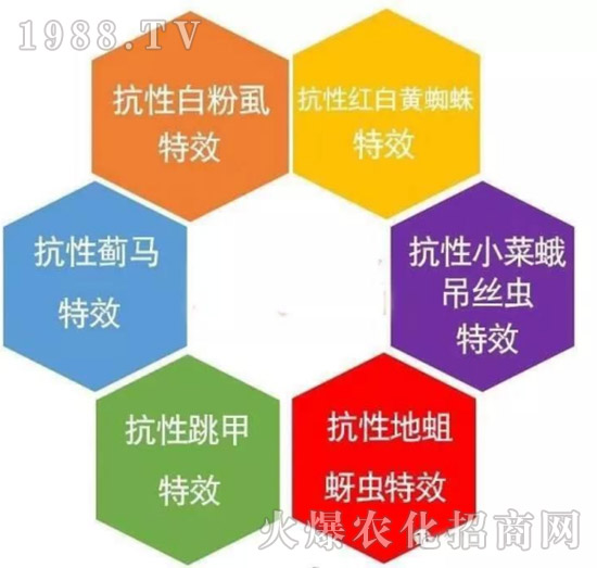     ���θ߿��԰׷�ʭ����?d��)��x(ch��ng)����һ���Ɣ�