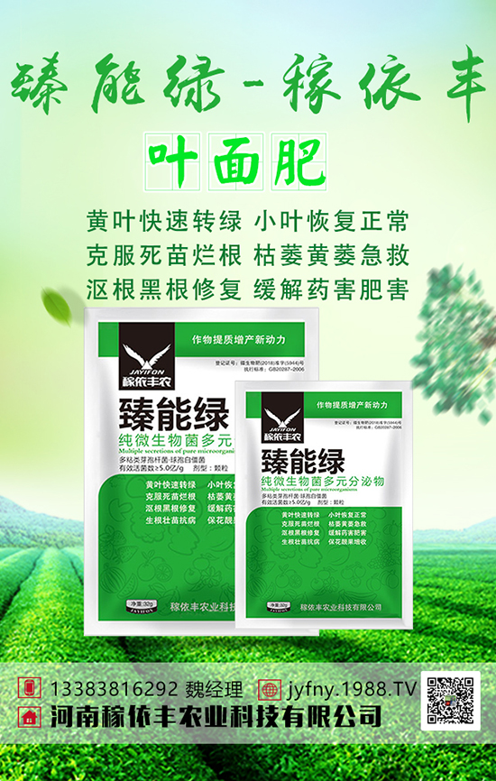 �n�Sʩ���з������n�S�Ĵ�ƌW(xu��)ʩ�ʼ��g(sh��)��