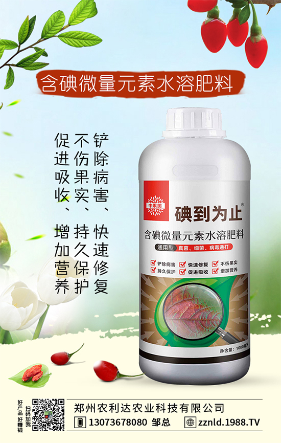 茭白高產(chǎn)方案,認準(zhǔn)茭白的科學(xué)施肥方法