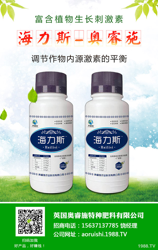 韭菜什么時(shí)候種植更好,韭菜種植時(shí)間和栽培技術(shù)