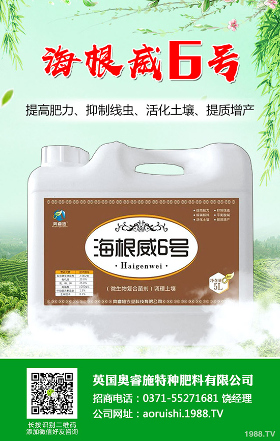 ���Ѵ������Ĩѿ������Ĩѿ������ע�����