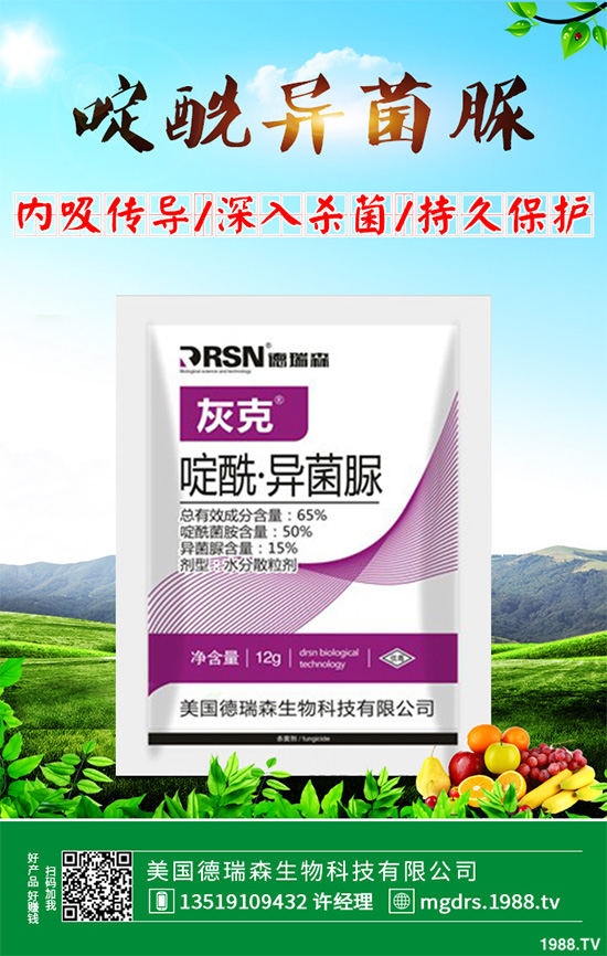 ʮ������