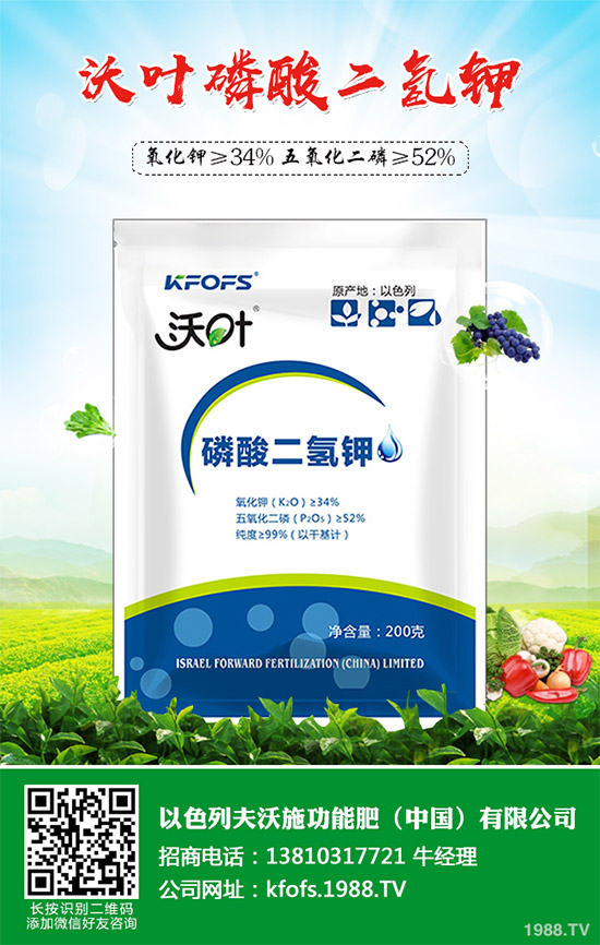 芹菜病毒病有哪些危害？該如何防治？芹菜病毒病的危害與防治