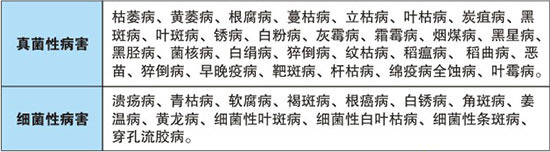 ���GԴ�r(n��ng)����ף������옷���f���������I(y��)�г���֥���_����(ji��)��(ji��)����