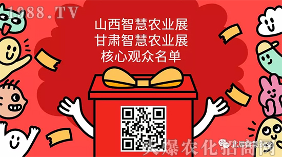 չ������